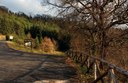 L'arboreto Teatro Dimora - Il parco